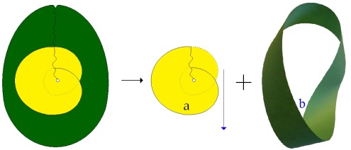 C:\Users\Alain\Desktop\Lacan séminaires\Ressources\Doc S13 b\68.jpg
