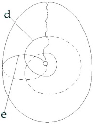 C:\Users\Alain\Desktop\Lacan séminaires\Ressources\Doc S10 B\45.jpg