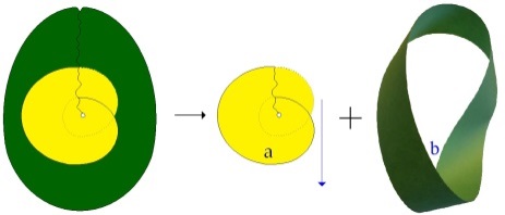 C:\Users\Alain\Desktop\Lacan séminaires\Ressources\Doc S10 B\49b.jpg