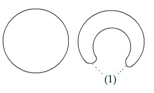 C:\Users\Alain\Desktop\Lacan séminaires\Ressources\Doc S12b\Doc S12\14.jpg