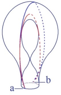 C:\Users\Alain\Desktop\Lacan séminaires\Ressources\Doc S12b\34.jpg