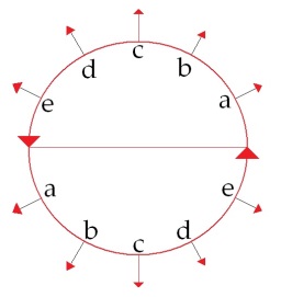 C:\Users\Alain\Desktop\Lacan séminaires\Ressources\Doc S13 b\Doc S13\11.jpg