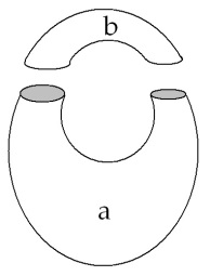 C:\Users\Alain\Desktop\Lacan séminaires\Ressources\Doc S13 b\Doc S13\24.jpg