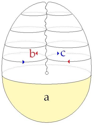 C:\Users\Alain\Desktop\Lacan séminaires\Ressources\Doc S13 b\34.jpg