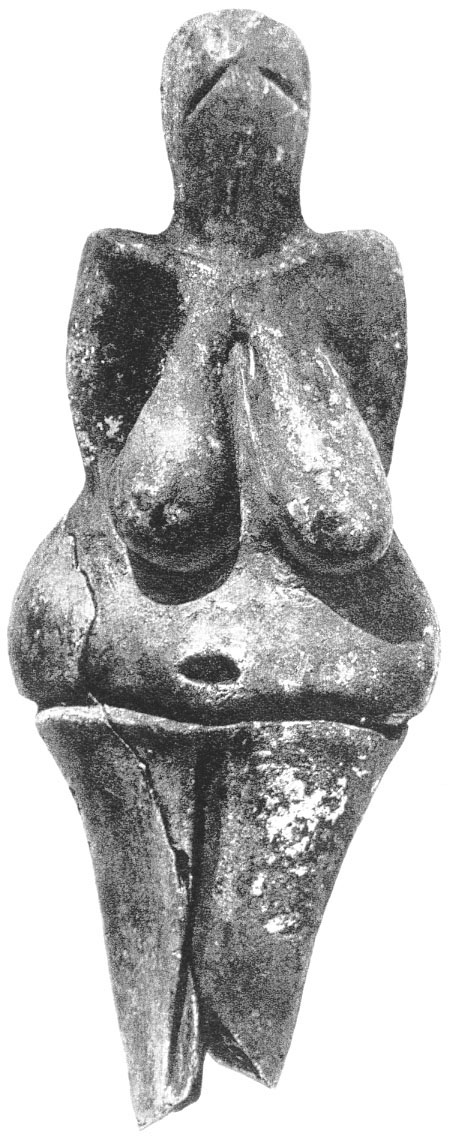 64a-venusbw