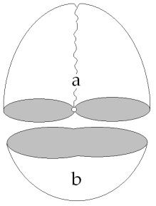 C:\Users\Alain\Desktop\Lacan séminaires\Ressources\Doc S9 B\Doc S9\zz72.jpg