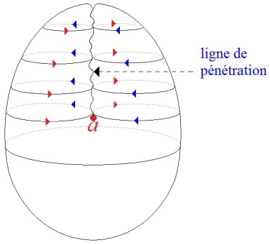 C:\Users\Alain\Desktop\Lacan séminaires\Ressources\Doc S9 B\103.jpg