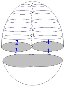 C:\Users\Alain\Desktop\Lacan séminaires\Ressources\Doc S9 B\99.jpg