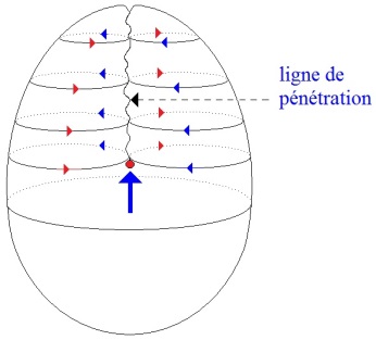 C:\Users\Alain\Desktop\Lacan séminaires\Ressources\Doc S9 B\104.jpg