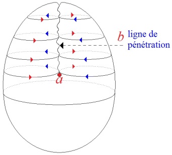 C:\Users\Alain\Desktop\Lacan séminaires\Ressources\Doc S9 B\105.jpg