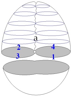 C:\Users\Alain\Desktop\Lacan séminaires\Ressources\Doc S9 B\99.jpg