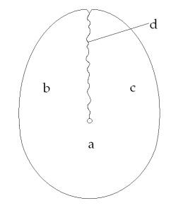 C:\Users\Alain\Desktop\Lacan séminaires\Ressources\Doc S9 B\Doc S9\045.jpg