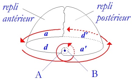 C:\Users\Alain\Desktop\Lacan séminaires\Ressources\Doc S9 B\78.jpg