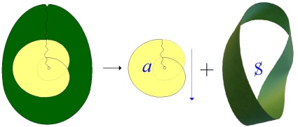 C:\Users\Alain\Desktop\Lacan séminaires\Ressources\L'étourdit\17.jpg